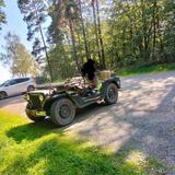 Ford Mutt m151 a1 - Ford Geländewagen M 151 mutt mit Benzin-Antrieb