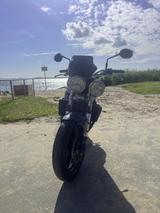 Triumph Speed Triple 955i Daytona T509 595 - Offers