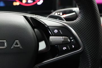 Skoda Kodiaq 2.0 TDI 142 kW 4x4 Sportline AHK Pano