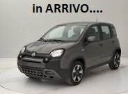 Image of Fiat Panda