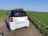 Smart ForTwo cabrio 1.0 52kW mhd passion passion - Smart ForTwo von privat