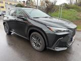 Lexus NX 350h*KAMERA*LEDER*ACC - Lexus aus 2022: Nx