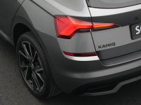 Skoda Kamiq - Vorschau Bild 19