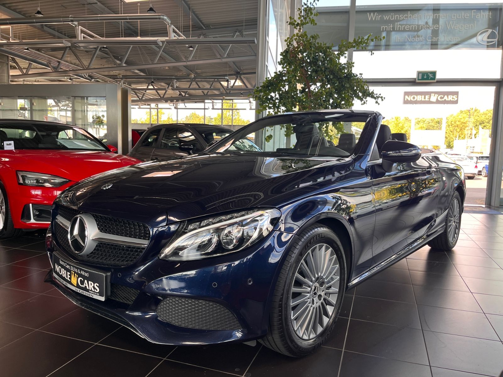 Fahrzeugabbildung Mercedes-Benz C 300 Cabrio  9G-TRONIC LED NAV SHZ PDC 17"