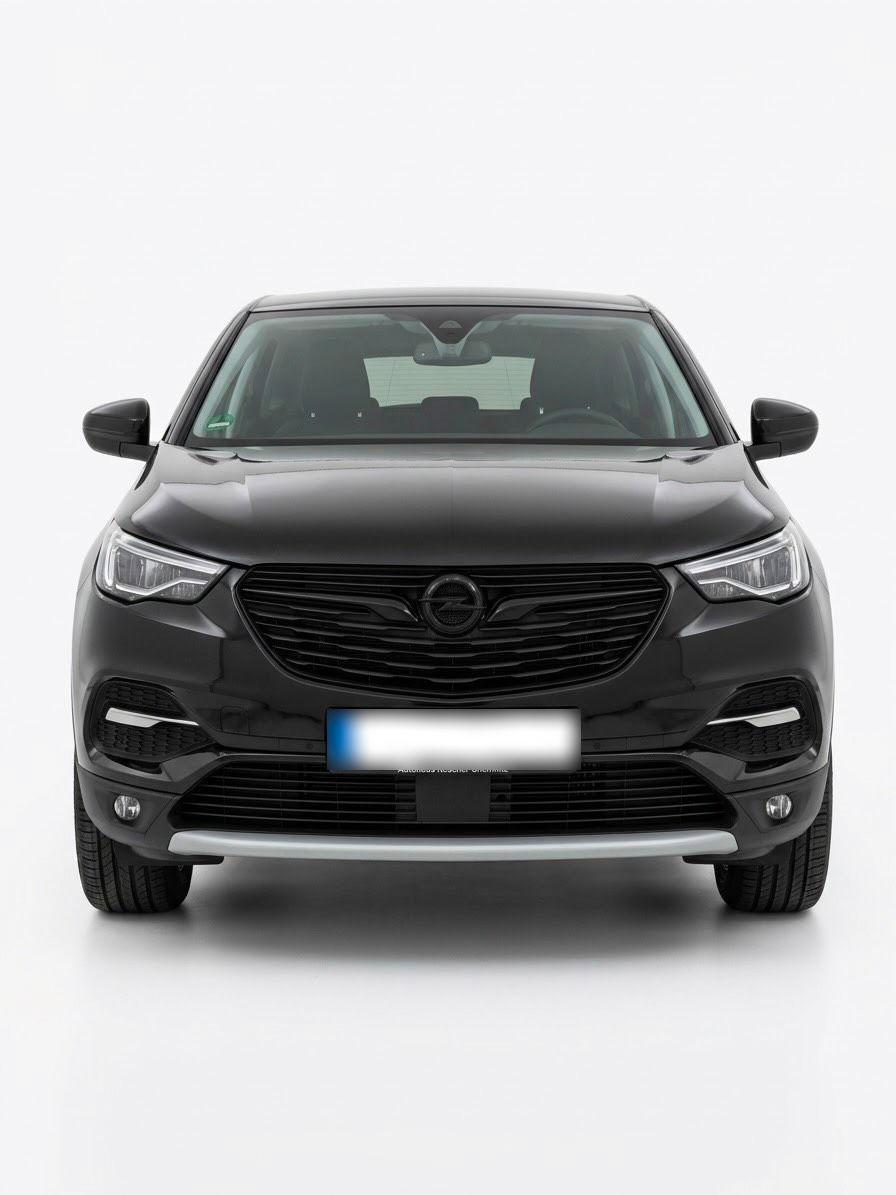 Opel Andere