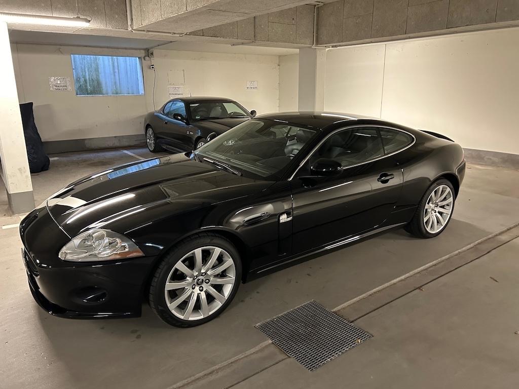 Jaguar XK