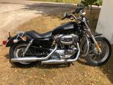 Harley-Davidson Sportster 1200 low - HARLEY-DAVIDSON 2007 SPORTSTER 1200
