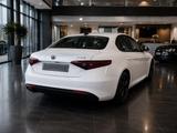 Alfa Romeo Giulia 2,2 JTD - weiß / Panoramadach - Alfa Romeo Giulia von privat