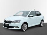 Skoda Fabia Clever SHZ, Freisprecheinrichtung - Skoda Fabia: Clever