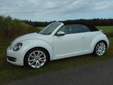 Volkswagen Beetle 2.0 TDI BMT Design Cabriolet Design