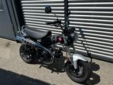 Honda DAX 125 * ST 125 / TZ 2026 - HONDA DAX 125