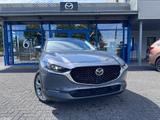 Mazda CX-30 2.5L e-SKYACTIV G Takumi BOSE  360°  LEDER - Mazda CX-30 mit Hybrid-Antrieb: Takumi