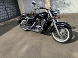 Honda VT1100 C3 Shadow wenig Km sehr gepflegt  - HONDA VT 1100