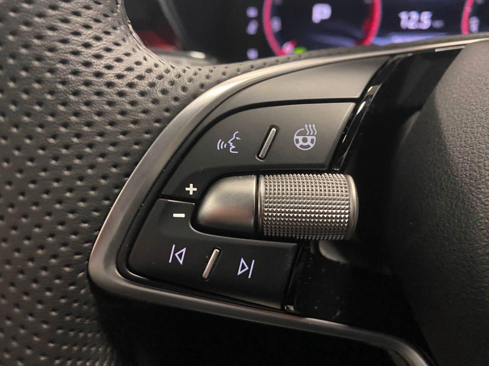 Fahrzeugabbildung SKODA Fabia 1.0 TSI DSG Monte Carlo+KAMERA+Android+ALU
