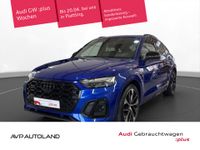 Audi SQ5 - Vorschau Bild 1