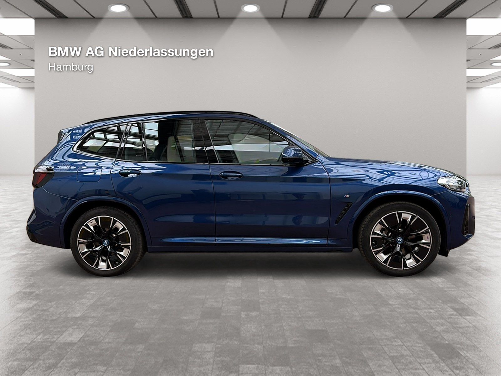 BMW iX3 M Sport Driv.Assist.Prof Harman K Head-Up foto 4