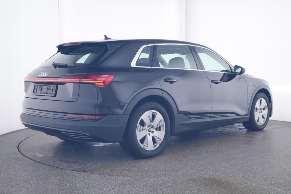 Audi e-tron Basis quattro 50 230kW AHK*RFK*PDC*Tempo