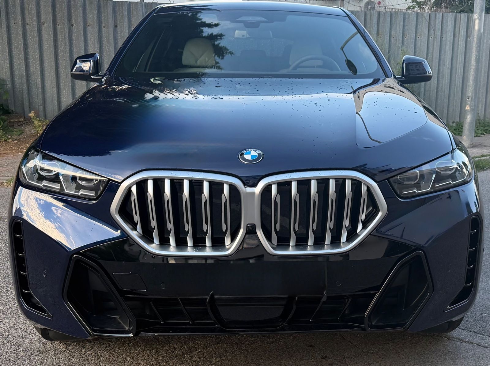 BMW X6 xDrive30d M Sport M Sport