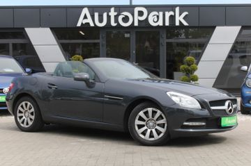 Mercedes-Benz SLK 250 SLK Roadster SLK 250 CDI BlueEfficiency