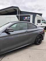 BMW M240i xDrive / No OPF / Remus AGA - BMW M240i