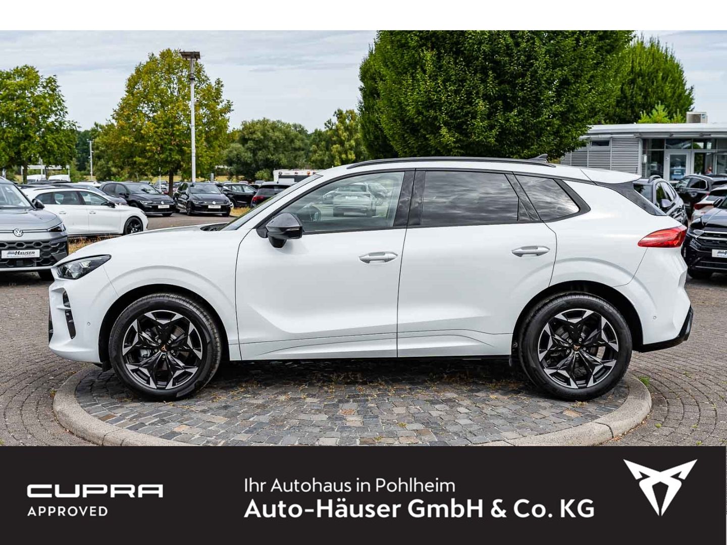 Cupra Terramar 1.5 eTSI DSG AHK DCC HD-MATRIX-LED EL.  imagem 3