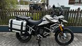 Triumph TIGER 900 RALLY PRO SCHECKHEFT! SEITENKOFFER! - Triumph Tiger 900 Rally Pro