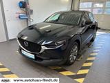 Mazda CX-30 2.5L e-SKYACTIV G AT Exclusive-Line - Mazda CX-30 mit Benzin-Antrieb: Exclusive Line