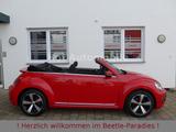 Volkswagen Beetle 1.4TSI DSG Sound Plus Kamera AppCon. - Volkswagen Beetle: Cabrio