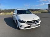 Mercedes-Benz B 220 d AHK DISTRONIC MULTIBEAM HIFI 8FACH-BER. - Mercedes-Benz B 220 von privat