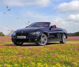 BMW 440i xDriveCabrio M Sport,AHK,Windschott,VOLL - BMW 440: Cabrio