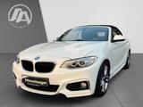 BMW 228 i Cabrio M Sport BiXenon+SHZ+PDC+Navi+Harman - BMW 228: 3 Türen