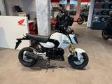 Honda MSX 125 Grom 2025 White *Tageszulassung 08-25* - Honda MSX125 Grom