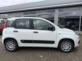 Fiat Panda 1.0 Hybrid SITZHEIZUNG,ALLWETTER,TFT-TACHO - Fiat Panda Gebrauchtwagen in Karlsruhe