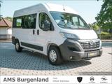 Opel Movano C L2H2 Kombi, 9-Sitzer, Zusatzklima/Heizu - Opel Movano: Van