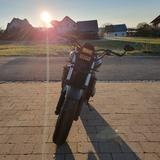 Honda CB 600 F Hornet - Offers