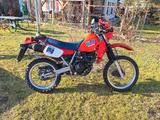 Kawasaki KLR 250 - Angebote