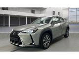 Lexus UX 300e Premium Kamera App-Navi LED Leder Sitzkl - Lexus UX 300e Gebrauchtwagen