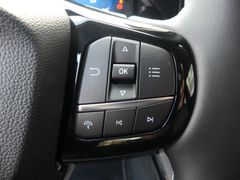 FORD Puma Titanium*360°Kamera*Blis*