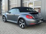 Volkswagen Beetle Cabriolet "Club" Shz Xenon PDC Bluetooth - graue Volkswagen Beetle