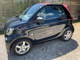 Smart ForTwo cabrio 0.9 66kW  - Smart ForTwo in Augsburg
