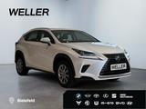 Lexus NX 300h Amazing Edition *Bi-LED*ACC*CAM*SHZ*DAB* - Lexus NX 300: H