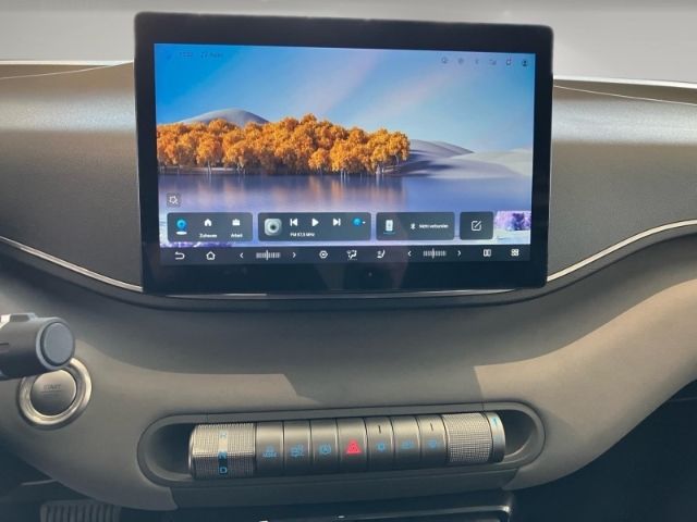 BYD DOLPHIN SURF