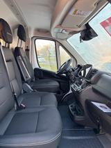 Fiat Ducato Maxi Grossr.-Kasten 35 180 L4H2 RS: 4035 - Fiat Ducato: Kombi