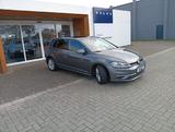 Volkswagen Golf VII 1,6TDI Comfortline BMT/Pano-D./Massage - Volkswagen Golf: Limousine, Comfortline TDI