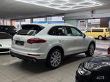 Porsche Cayenne S Kamera Leder Navi Burmester Luftfe AHK - Porsche Gebrauchtwagen in Kassel