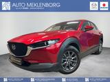 Mazda CX-30 2.0l SKYACTIV-G "AAAC" M Hybrid - Mazda CX-30 mit Hybrid-Antrieb