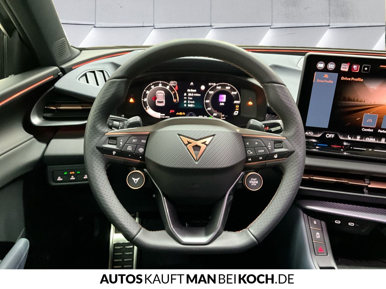 Cupra Terramar - Bild 12