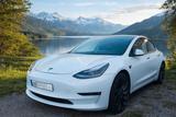 Tesla Model 3 Dualmotor Performance 1. Hand Werksgar..