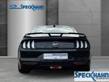 Ford Mustang GT Fastback 5.0 V8 Navi B&O adapt.Tempom - Ford Mustang in Hagen