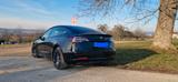 Tesla Model 3 Performance, Akku/TÜV neu - Top Zustand - Tesla Model 3 in Stuttgart